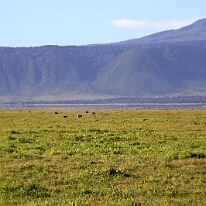 IMG_20250117-00-IMG_9019