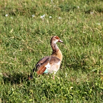 IMG_20250117-00-IMG_9087