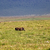 IMG_20250117-00-IMG_9116