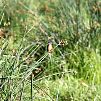 IMG_20250117-00-IMG_9155