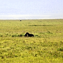 IMG_20250117-00-IMG_9180