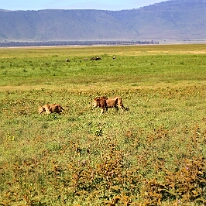 IMG_20250117-00-IMG_9246