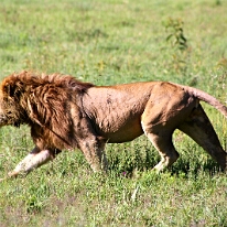 IMG_20250117-00-IMG_9258