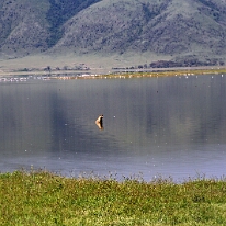 IMG_20250117-00-IMG_9333