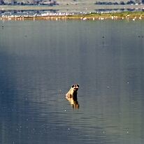 IMG_20250117-00-IMG_9335