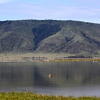 IMG_20250117-00-IMG_9336