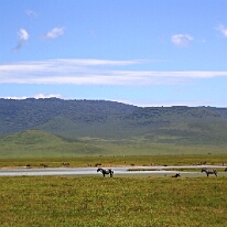 IMG_20250117-00-IMG_9346