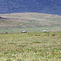 IMG_20250117-00-IMG_9450