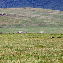 IMG_20250117-00-IMG_9452