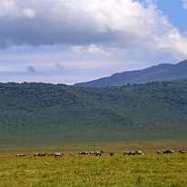 IMG_20250117-00-IMG_9467