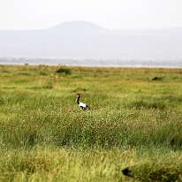 IMG_20250114-00-IMG_8406