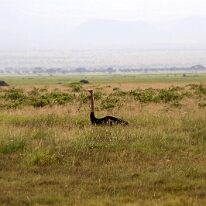 IMG_20250114-00-IMG_8426