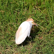 IMG_20250114-00-IMG_8430