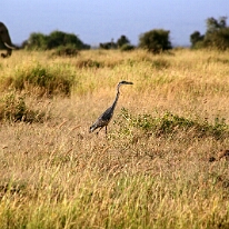 IMG_20250115-00-IMG_8676