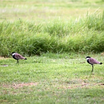 IMG_20250115-00-IMG_8749