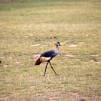 IMG_20250115-00-IMG_8787