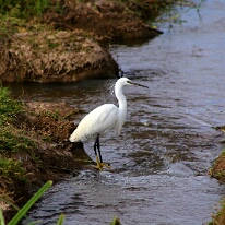 IMG_20250115-00-IMG_8805