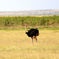 IMG_20250115-00-IMG_8809