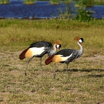 IMG_20250115-00-IMG_8829