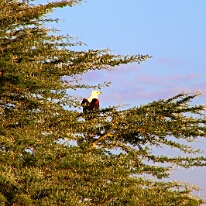 IMG_20250115-00-IMG_8884