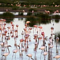 IMG_20250115-00-IMG_8891