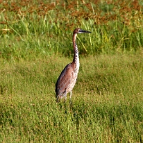 IMG_20250116-00-IMG_8940