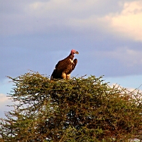 IMG_20250118-01-IMG_0143