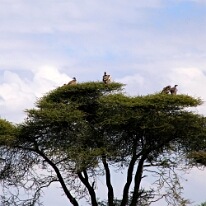 IMG_20250118-01-IMG_9649