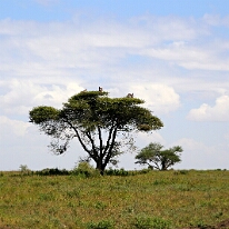 IMG_20250118-01-IMG_9652