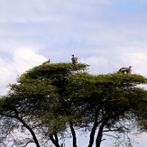 IMG_20250118-01-IMG_9653