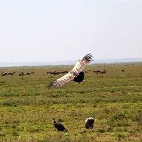 IMG_20250118-01-IMG_9702