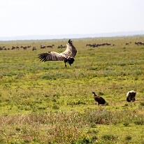 IMG_20250118-01-IMG_9704