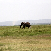 IMG_20250114-00-IMG_8394