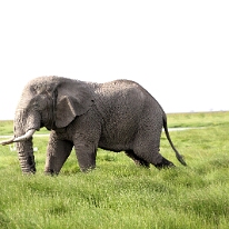 IMG_20250114-00-IMG_8454