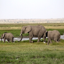 IMG_20250114-00-IMG_8470