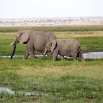 IMG_20250114-00-IMG_8473