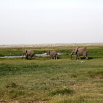 IMG_20250114-00-IMG_8476