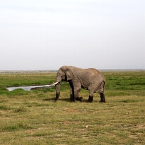 IMG_20250114-00-IMG_8478