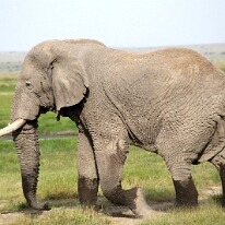 IMG_20250114-00-IMG_8481