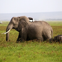 IMG_20250114-00-IMG_8495