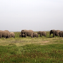 IMG_20250114-00-IMG_8501