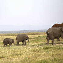 IMG_20250114-00-IMG_8530