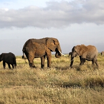 IMG_20250115-00-IMG_8649