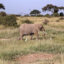 IMG_20250115-00-IMG_8721