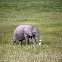 IMG_20250115-00-IMG_8823