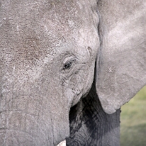 IMG_20250115-00-IMG_8824