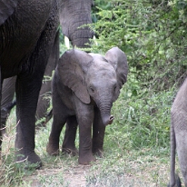 IMG_20250120-01-IMG_0945