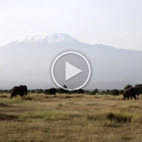 MVI_8673-KiliSloni27