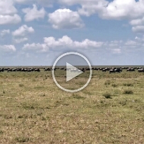 VID_20250119_115636-MigreacePakone30