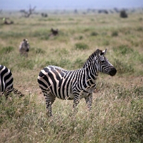 IMG_20250114-00-IMG_8359